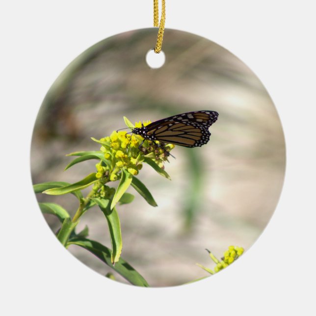 Mariposa con ornamento de flores silvestres amaril (Frente)
