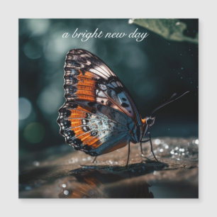 Mariposa con reflejo de agua a la luz del sol