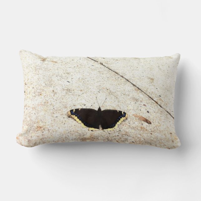 Mariposa contra la almohada lumbar de piedra (Anverso)