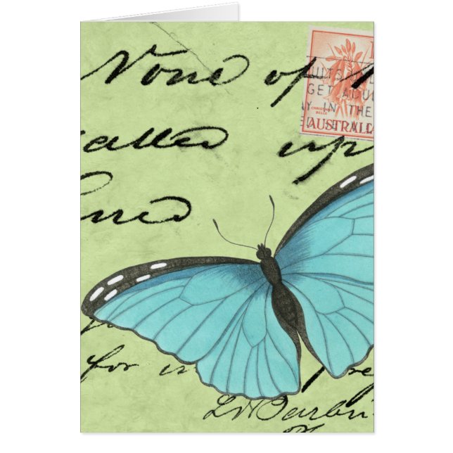 Mariposa de ala azul en postal Verde azulada (Frente)