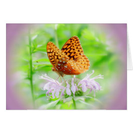 Mariposa de Bee Balm - Fritillary