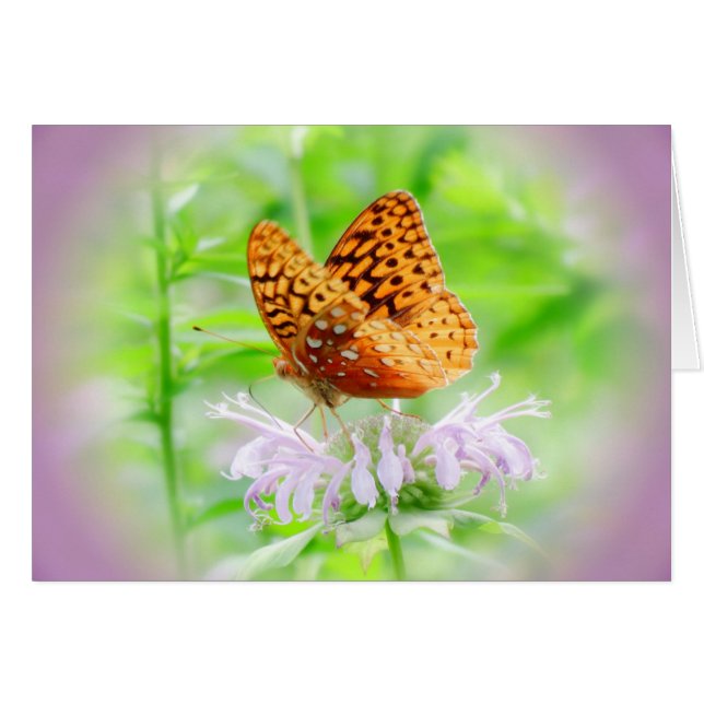 Mariposa de Bee Balm - Fritillary (Anverso (Horizontal))