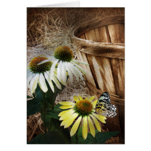 Mariposa de campo