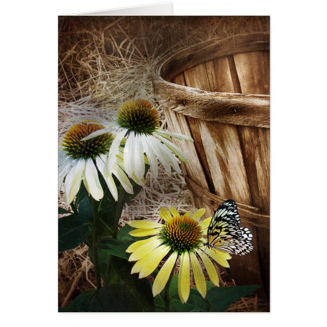 Mariposa de campo (Frente)