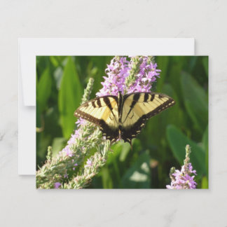 Mariposa de cola cruda sobre flores silvestres mor