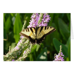 Mariposa de cola cruda sobre flores silvestres mor