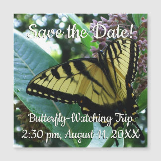 Mariposa de cola torta I en Milkweed en Shenandoah