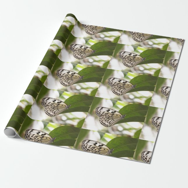 Mariposa de cometa de papel (Desenrollado)