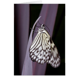 Mariposa de cometa de papel sobre morado