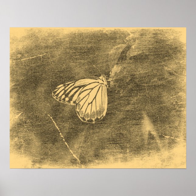 Mariposa de época en la flor #2 Posters (Frente)