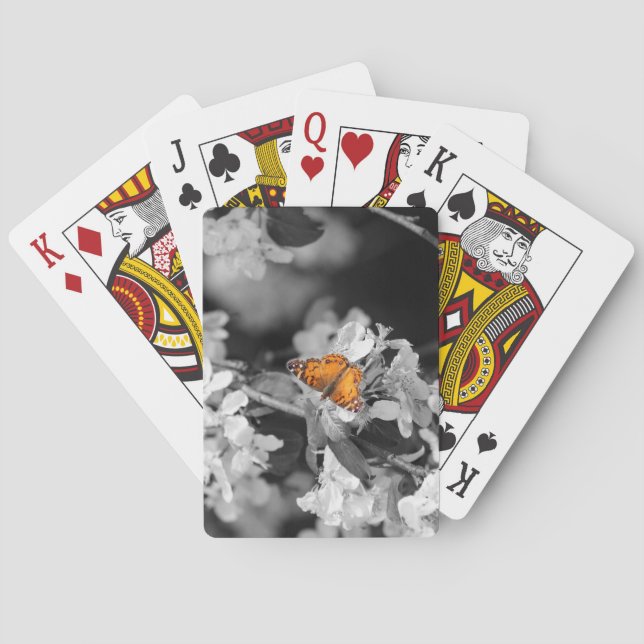 Mariposa De La Señora Estadounidense En Las Cartas (Reverso)