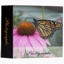 Mariposa de monarca