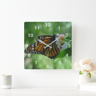 Mariposa de monarca bonita y reloj de pared rosado