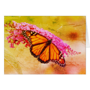 Mariposa de monarca en Buddleia