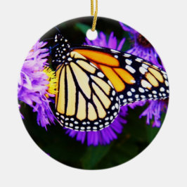 Mariposa de monarca, ornamento del aster