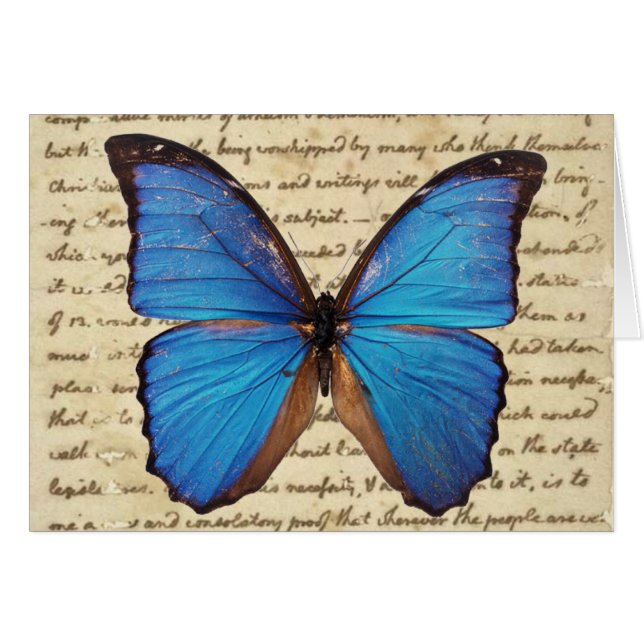 Mariposa de Morpho en tarjeta en blanco de la (Anverso (Horizontal))