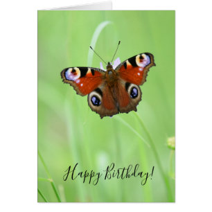 Mariposa de pavo real