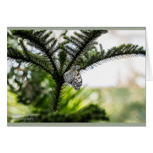 Mariposa de reclinación