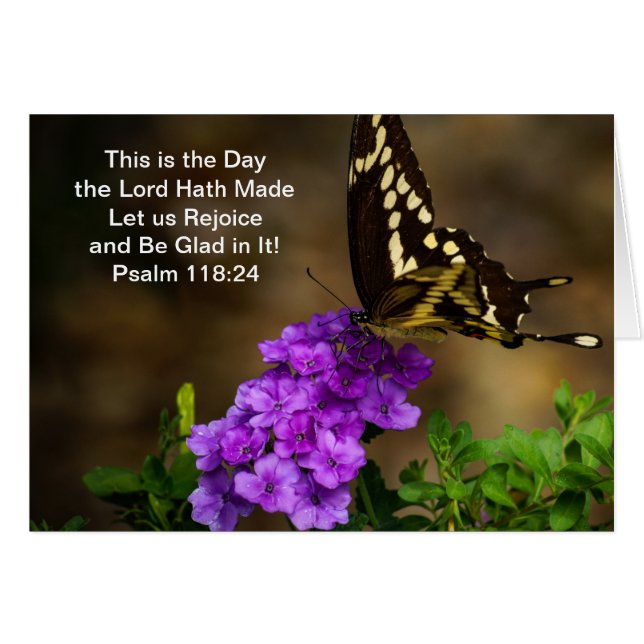 Mariposa de Swallowtail (Anverso (Horizontal))