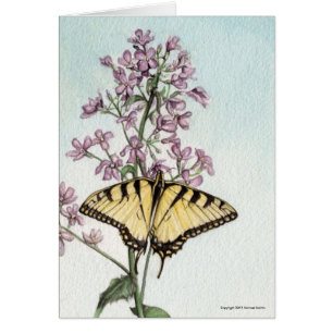 Mariposa de Swallowtail de Michael Martin