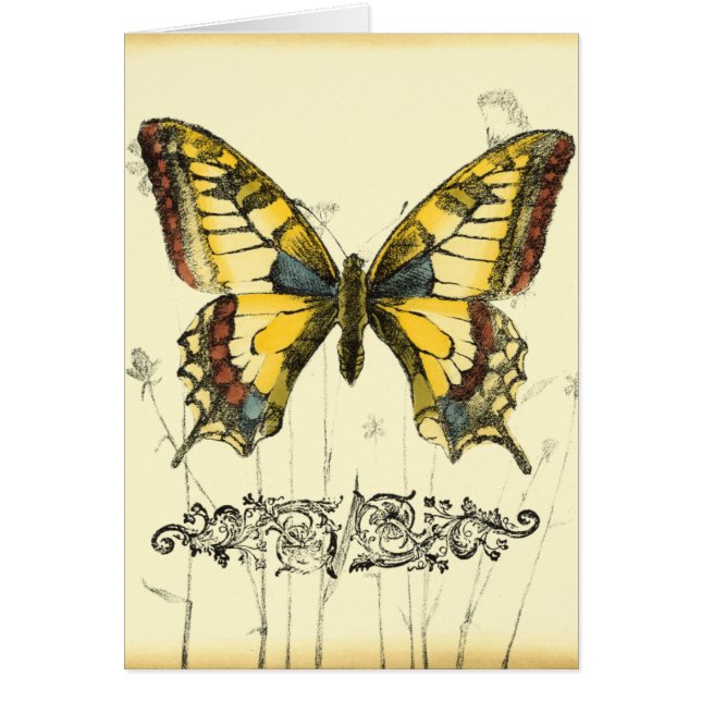 Mariposa decorativa con flores silvestres (Frente)