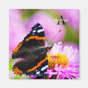 Mariposa del Almirante Rojo en un imán florido