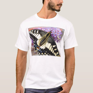 Mariposa del swallowtail del anís - la camiseta de
