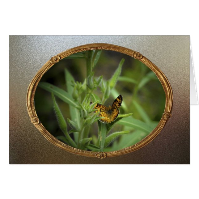 Mariposa del vintage (Anverso (Horizontal))