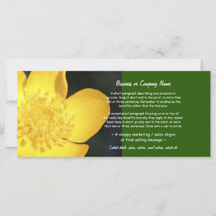 Mariposa dorada encorvada de sol