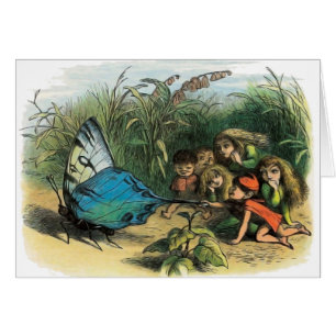 Mariposa Elf Artwork Cuidad Elves Butterflies