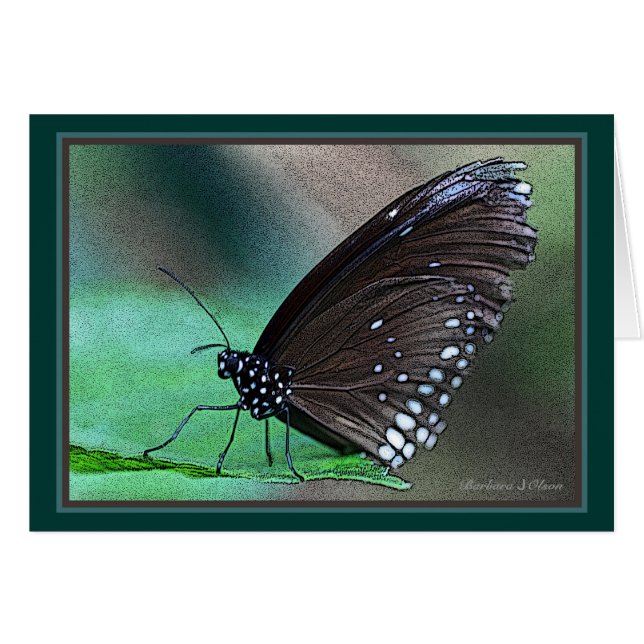 Mariposa en aguamarina (Anverso (Horizontal))
