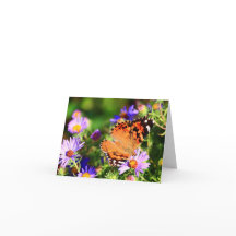 Mariposa en Aster flor tarjeta de nota/tarjeta de