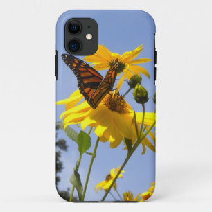 Mariposa en el funda de Sky iPhone 5