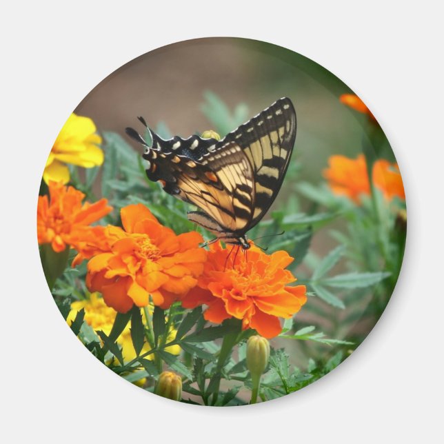 Mariposa en el imán Naranja y flores amarillas (Frente)