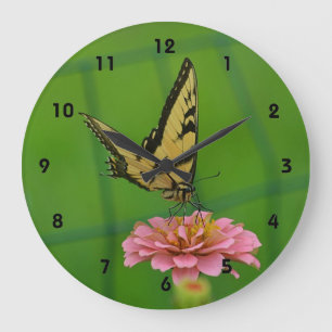 Mariposa En El Reloj De Pared De Zinnia