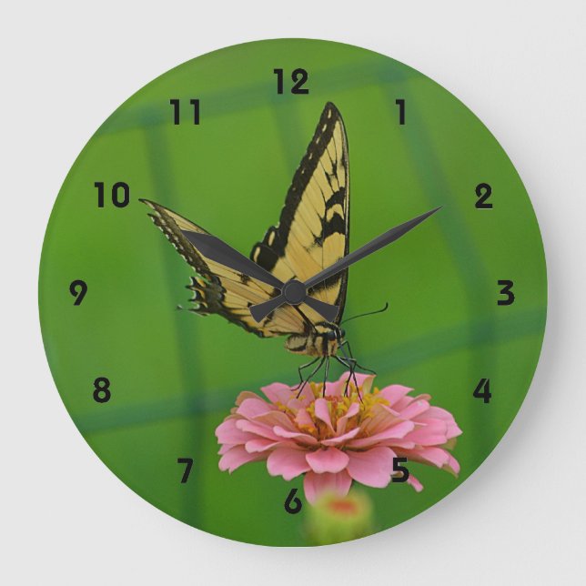 Mariposa En El Reloj De Pared De Zinnia (Anverso)