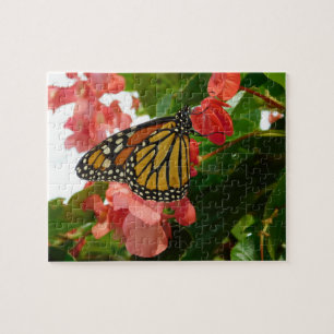 Mariposa en el rompecabezas de las flores rojas