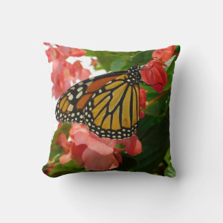 Mariposa en la almohada de flores rojas