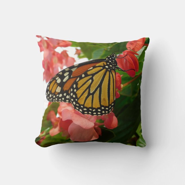 Mariposa en la almohada de flores rojas (Anverso)