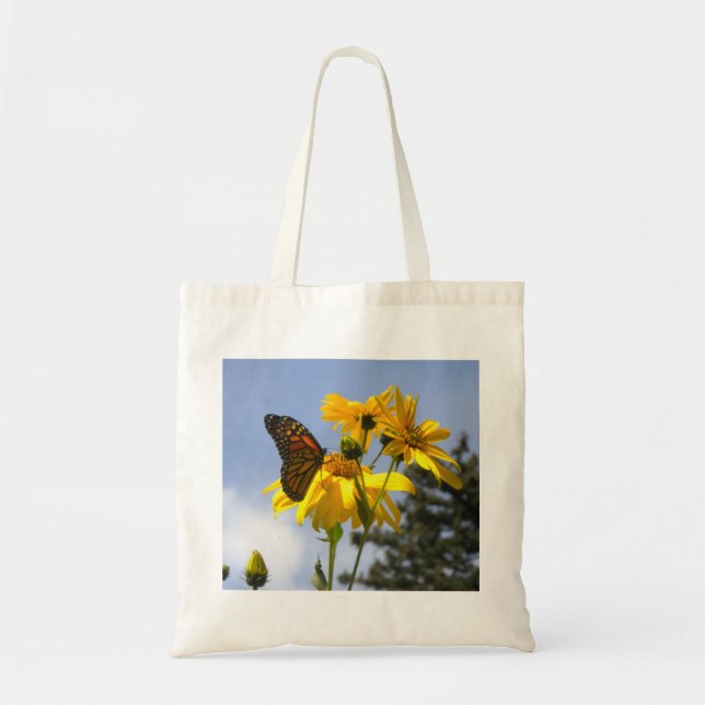 Mariposa en la bolsa de la tota del girasol (Frente)