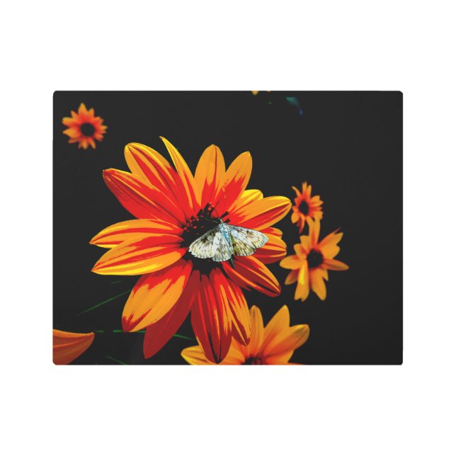 Mariposa en la flor feroz Naranja - Audaz Arte Met (Anverso)