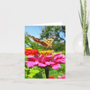 Mariposa en la tarjeta de nota del flor del Zinnia