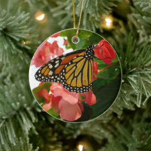 Mariposa en Ornamento de Flores Rojas