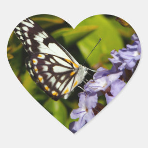 Mariposa en pegatina de corazón floral