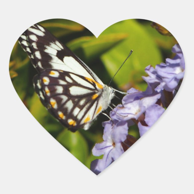 Mariposa en pegatina de corazón floral (Anverso)