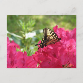 Mariposa en Postal Floral de Azalea Naturaleza