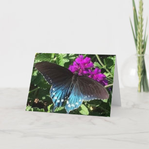 Mariposa en tarjeta de felicitación púrpura de la
