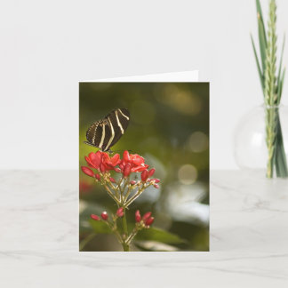 Mariposa en tarjeta de nota en blanco real de