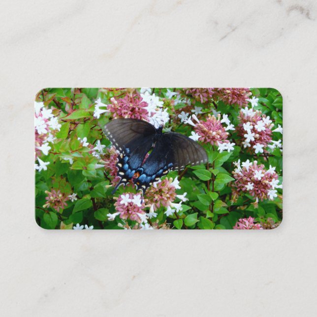 Mariposa en tarjetas de visita de flores (Anverso)