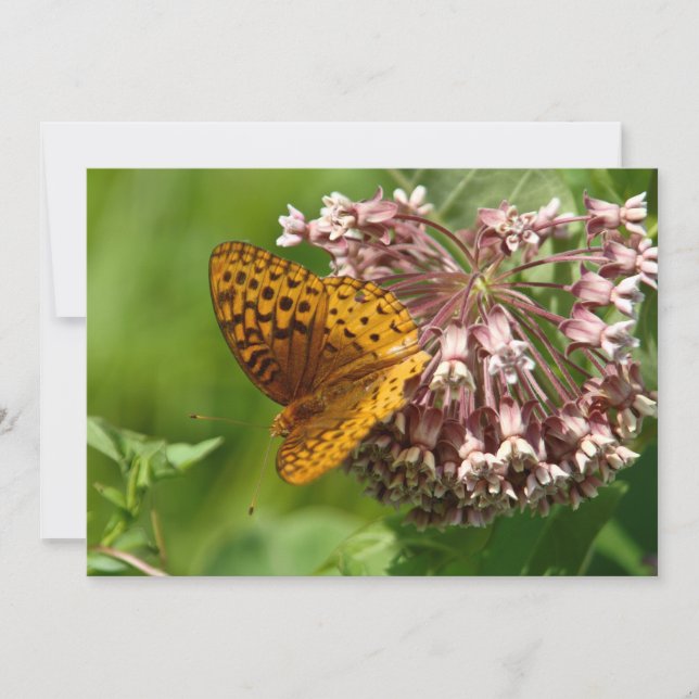 Mariposa En Una Lechuga - Tarjeta De Saludo Plana (Anverso)